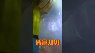 똥물샤워