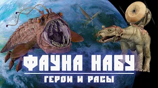 ФАУНА НАБУ | Какие опасности таит родина гунганов?