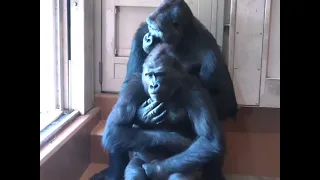 Иди Ко Мне, мОя буЛочка🐒🤣👀🔥👍🥰Come To Me, my bun🐒🤣👀🔥👍🥰