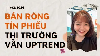 BÁN RÒNG TÍN PHIẾU - THỊ TRƯỜNG VẪN UPTREND - CHỨNG KHOÁN HÔM NAY - NHẬN ĐỊNH THỊ TRƯỜNG