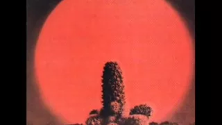cactus- parchman farm 1970
