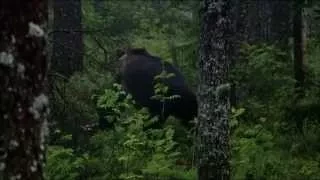 Дикая природа России 6. Urals / Первозданные долины.1080p