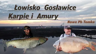 Łowisko Gosławice   Karpie i Amury  #Nowe Pb Tomka 28,2kg