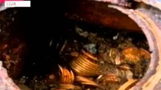 В США нашли клад 1500 золотых монет