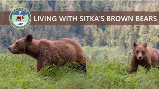 Virtual Presentation: Living with Sitka's Brown Bears