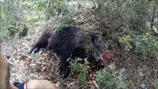 ΑΡΤΑΧΑΝ ΚΙΛΚΙΣ Greece (ARTAHAN KILKIS Greece) Wildboar hunt