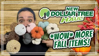 WOW! More Fall Items! *** NEW Dollar Tree Haul *** 7/31/22