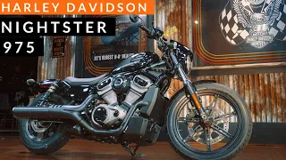 2022 Harley Davidson Nightster 975 (RH975) FULL review.