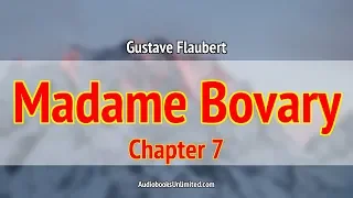 Madame Bovary Audiobook Chapter 7 with subtitles