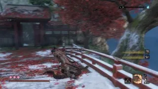 Sekiro™: Shadows Die Twice easy true monk