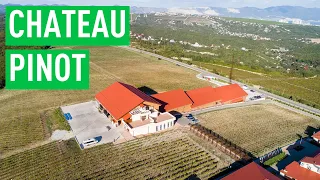 CHATEAU PINOT — самая интересная винодельня