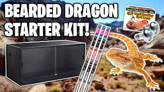 Everything you Need For a Bearded dragon! How to setup a bearded dragon tank!