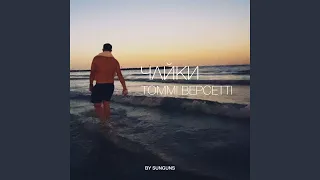 Чайки