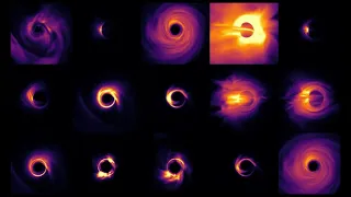PRIMO Black Hole Simulations
