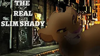 “The Real Slim Shady” Full Mep