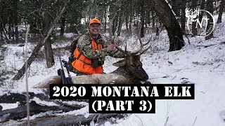 Montana Public Land General Elk 2020 (Part 3 "Bull Down!")