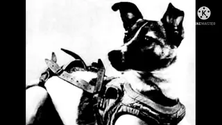The Story of Laika The Space Dog