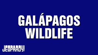 Galápagos Wildlife | Category | JEOPARDY!