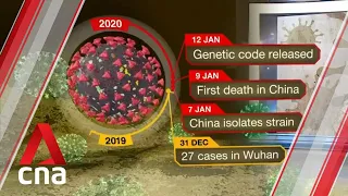 A timeline of COVID-19's discovery and global spread