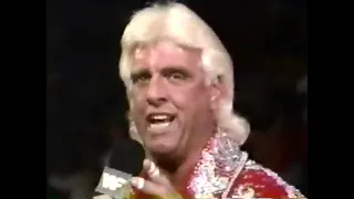 Ric Flair and Mr Perfect on WWF Superstars 4/19/92