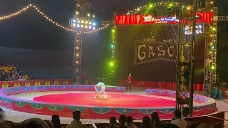 CIRCO HERMANOS GASCA EN BOGOTA, ROMPIERON  UN RÉCORD GUINNESS.