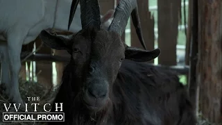 The Witch | Black Phillip | Official Promo HD | A24