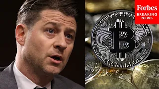 'The Largest Ponzi Scheme In History': Actor Ben McKenzie Testifies In Hearing On FTX And Crypto