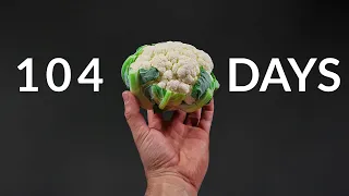 CAULIFLOWER Time-lapse