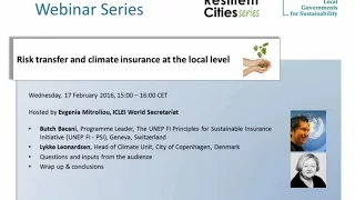 Webinar: Risk transfer and climate insurance at the local level