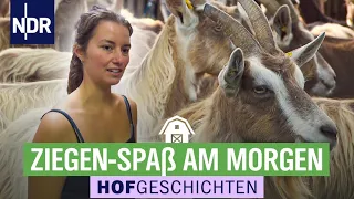 Im Wendland geht's auf dem Ziegenhof rund | Hofgeschichten: Leben auf dem Land (247) | NDR
