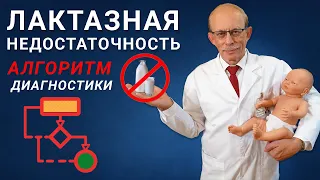 Лактазная недостаточность у детей или пищевая аллергия #3 - Европейский алгоритм диагностики