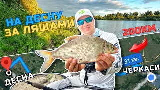 ⚠️ РОЗДАЧА ЛЯЩА НА ДЕСНІ💥 В ПОГОНІ ЗА ДЕСНЯНСЬКИМ ЛЯЩЕМ🎣 РИБОЛОВЛЯ НА ФІДЕР🇺🇦