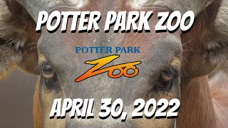 Potter Park Zoo | April 30, 2022