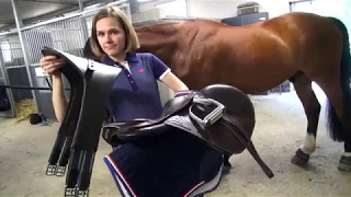 Miten hevonen satuloidaan?