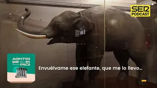 Acontece que no es poco | Envuélvame ese elefante, que me lo llevo…