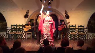 Flamenco Barcelona - Maria del Mar Fernandez @TablaoCordobes (I) 16-5-16