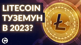 Лайткоин в 2023: туземун? | Недельный обзор крипторынка 2022