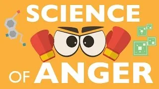 THE SCIENCE OF ANGER