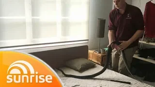 Snake up call: Australian woman wakes up to a snake licking her face | Sunrise