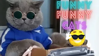 2 HOUR BEST FUNNY CATS COMPILATION 2023 😂| The Best Funny And Cute Cat Videos 1 !😸 😸