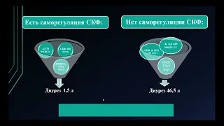 8:00 РЕГУЛЯЦИЯ МОЧЕОБРАЗОВАНИЯ И ВЫДЕЛЕНИЯ МОЧИ  РОЛЬ ПОЧЕК В ПОДДЕРЖАНИИ ГОМЕОСТАЗА