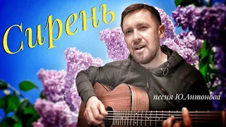 Сирень - Юрий Антонов / кавер под гитару