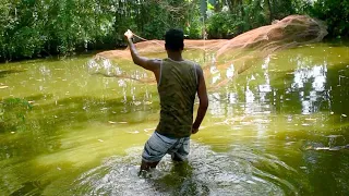 village net fishing || fish Hunting with Cast Net in the village pond || P-67