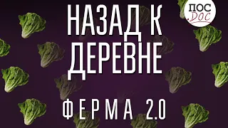 «Назад к деревне. Ферма 2.0». Документальный фильм