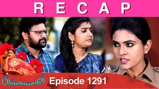 RECAP : Priyamanaval Episode 1291, 12/04/19