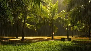Fall Asleep Soon After 5 Minutes Listening to the Sound of Rain and Thunder Rumbling in the Park