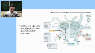 Заседание от 16.12.2019 "РНК вакцины, общий обзор"