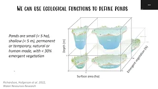 PONDERFUL Webinar: Limnology underdogs: The local and global importance of pond ecosystems