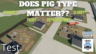 DOES PIG TYPE MATTER? - Farming Simulator 19 Test Video