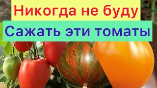 Никогда не буду сажать эти томаты!